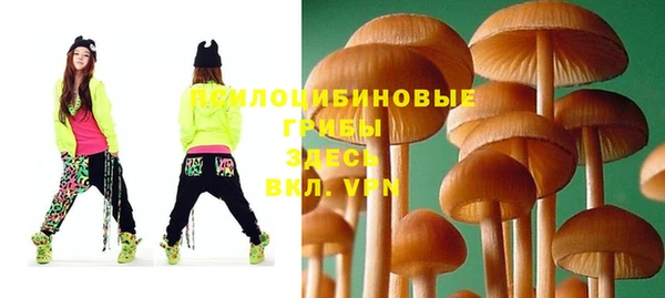 соль ск Абдулино