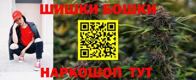 МДПВ Вышний Волочёк