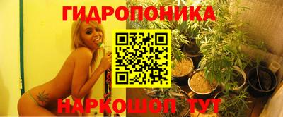 МДПВ Вышний Волочёк