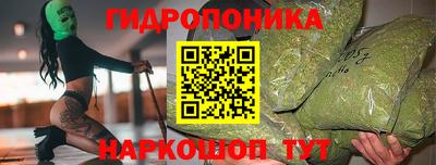 МДПВ Вышний Волочёк