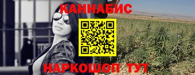 МДПВ Вышний Волочёк