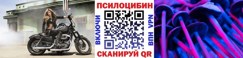 купить наркотики сайты  Белая Калитва  OMG ССЫЛКА  Псилоцибиновые грибы прущие грибы 