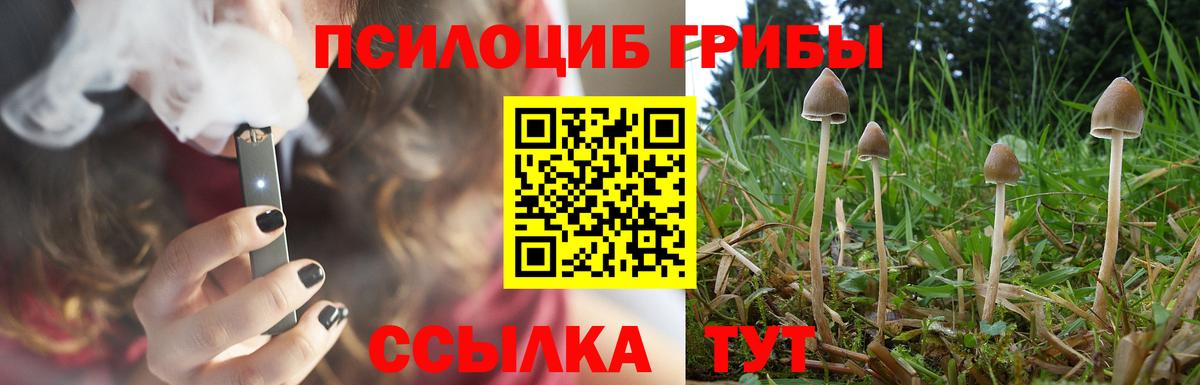 Псилоцибиновые грибы MAGIC MUSHROOMS  Вход с VPN  Псилоцибиновые грибы мицелий  Белая Калитва 